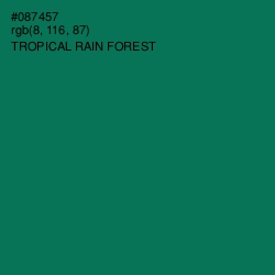 #087457 - Tropical Rain Forest Color Image