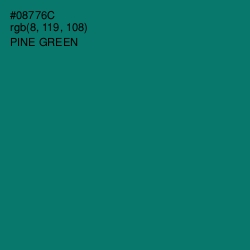 #08776C - Pine Green Color Image