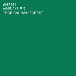 #087951 - Tropical Rain Forest Color Image