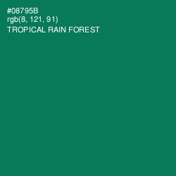 #08795B - Tropical Rain Forest Color Image