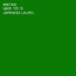 #087A03 - Japanese Laurel Color Image