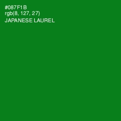 #087F1B - Japanese Laurel Color Image