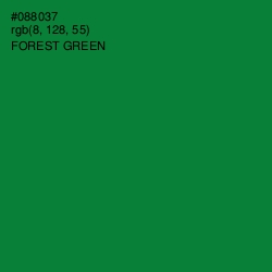 #088037 - Forest Green Color Image