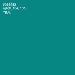 #088683 - Teal Color Image