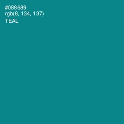 #088689 - Teal Color Image