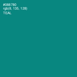 #088780 - Teal Color Image