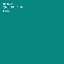 #088781 - Teal Color Image