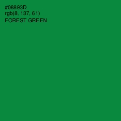 #08893D - Forest Green Color Image