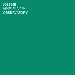 #08896B - Observatory Color Image