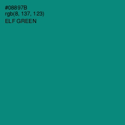 #08897B - Elf Green Color Image