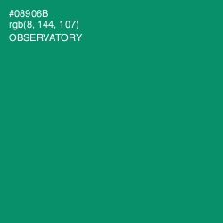 #08906B - Observatory Color Image