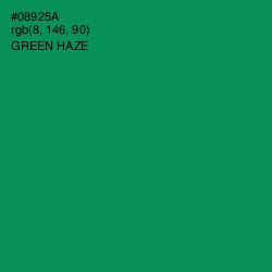 #08925A - Green Haze Color Image