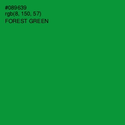 #089639 - Forest Green Color Image