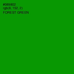 #089802 - Forest Green Color Image