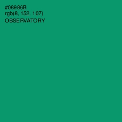 #08986B - Observatory Color Image