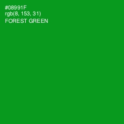 #08991F - Forest Green Color Image