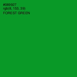 #089927 - Forest Green Color Image