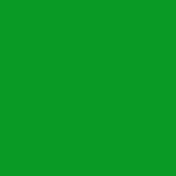 #089A25 - Forest Green Color Image