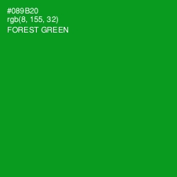#089B20 - Forest Green Color Image