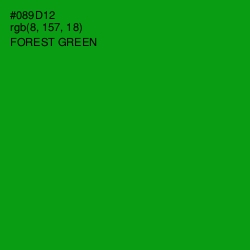 #089D12 - Forest Green Color Image