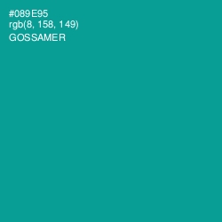 #089E95 - Gossamer Color Image