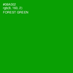 #08A002 - Forest Green Color Image