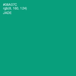 #08A07C - Jade Color Image