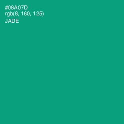 #08A07D - Jade Color Image