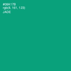 #08A17B - Jade Color Image
