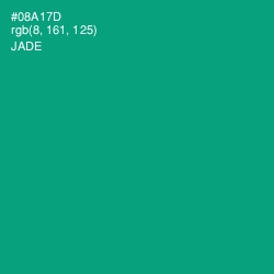 #08A17D - Jade Color Image