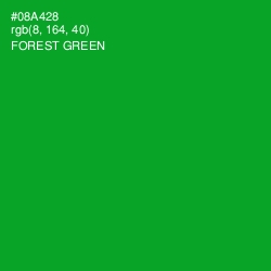 #08A428 - Forest Green Color Image