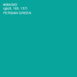 #08A59D - Persian Green Color Image