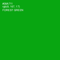 #08A711 - Forest Green Color Image