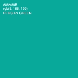 #08A89B - Persian Green Color Image