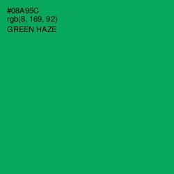 #08A95C - Green Haze Color Image