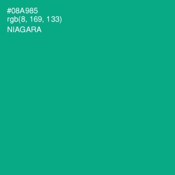 #08A985 - Niagara Color Image