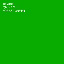 #08AB00 - Forest Green Color Image