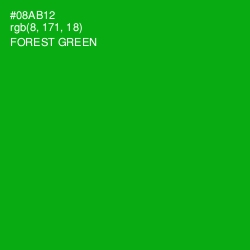 #08AB12 - Forest Green Color Image