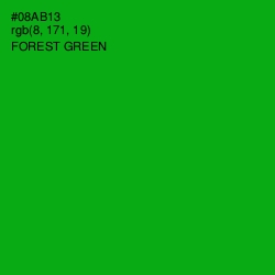 #08AB13 - Forest Green Color Image