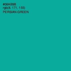 #08AB9B - Persian Green Color Image