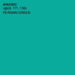 #08AB9C - Persian Green Color Image