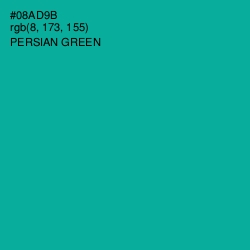 #08AD9B - Persian Green Color Image