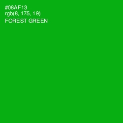 #08AF13 - Forest Green Color Image