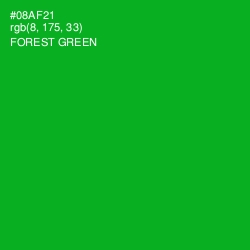 #08AF21 - Forest Green Color Image