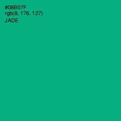 #08B07F - Jade Color Image