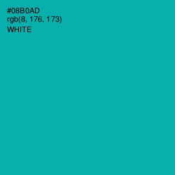 #08B0AD - Persian Green Color Image