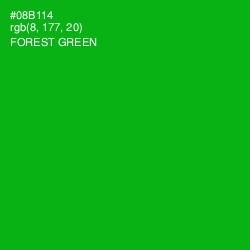 #08B114 - Forest Green Color Image