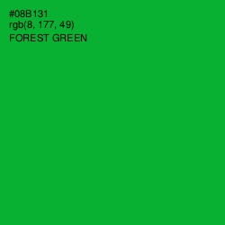 #08B131 - Forest Green Color Image