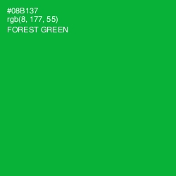 #08B137 - Forest Green Color Image