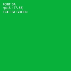 #08B13A - Forest Green Color Image